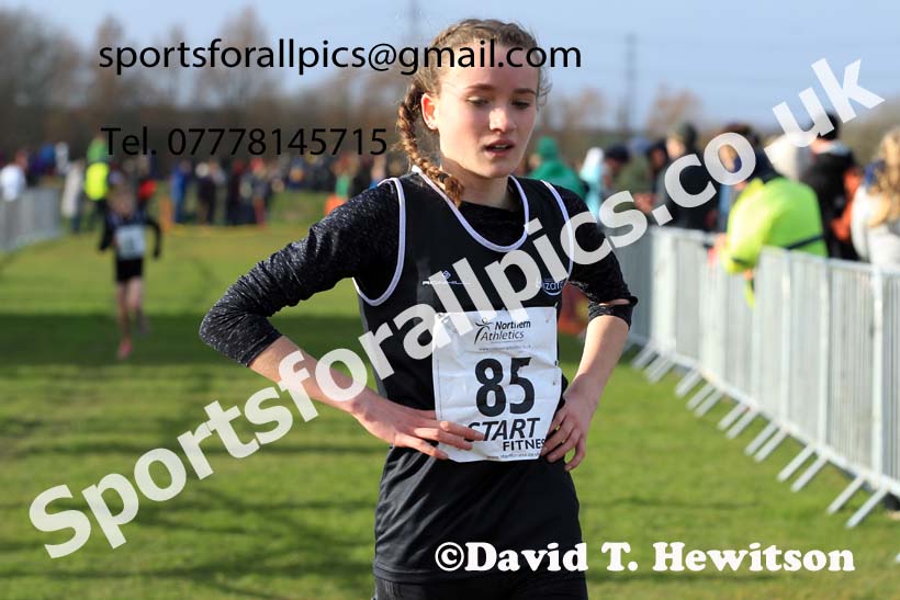 Girls under-15s 2022 Northern Cross Country Champs., Pontefract. Photo: David T. Hewitson/Sports for All Pics